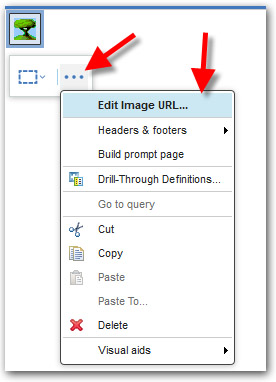 Cognos edit image URL screenshot