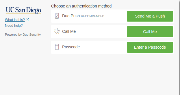Screenshot of the DUO prompt screen