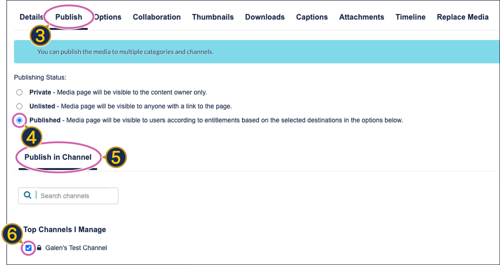 A screenshot of the "Publish" tab contents on the Kaltura edit page. The "publish" tab, the "published" radio button, "publish in channel" and a checkbox next to a channel are circled.