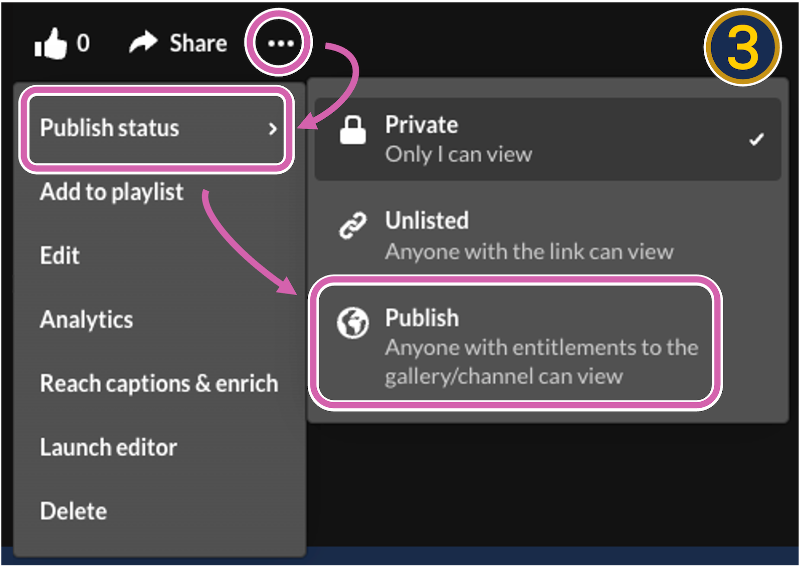 A screenshot from the player page. The kebab (three dots), "publish status" and the "publish" option in a submenu are circled.