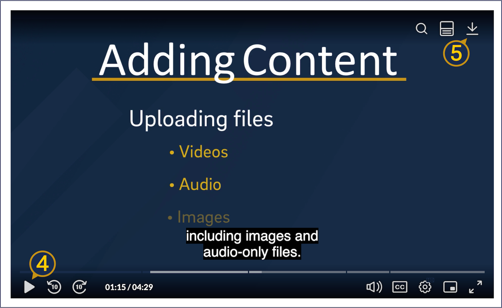 A screenshot of the Kaltura media player with the in-player download button visible.