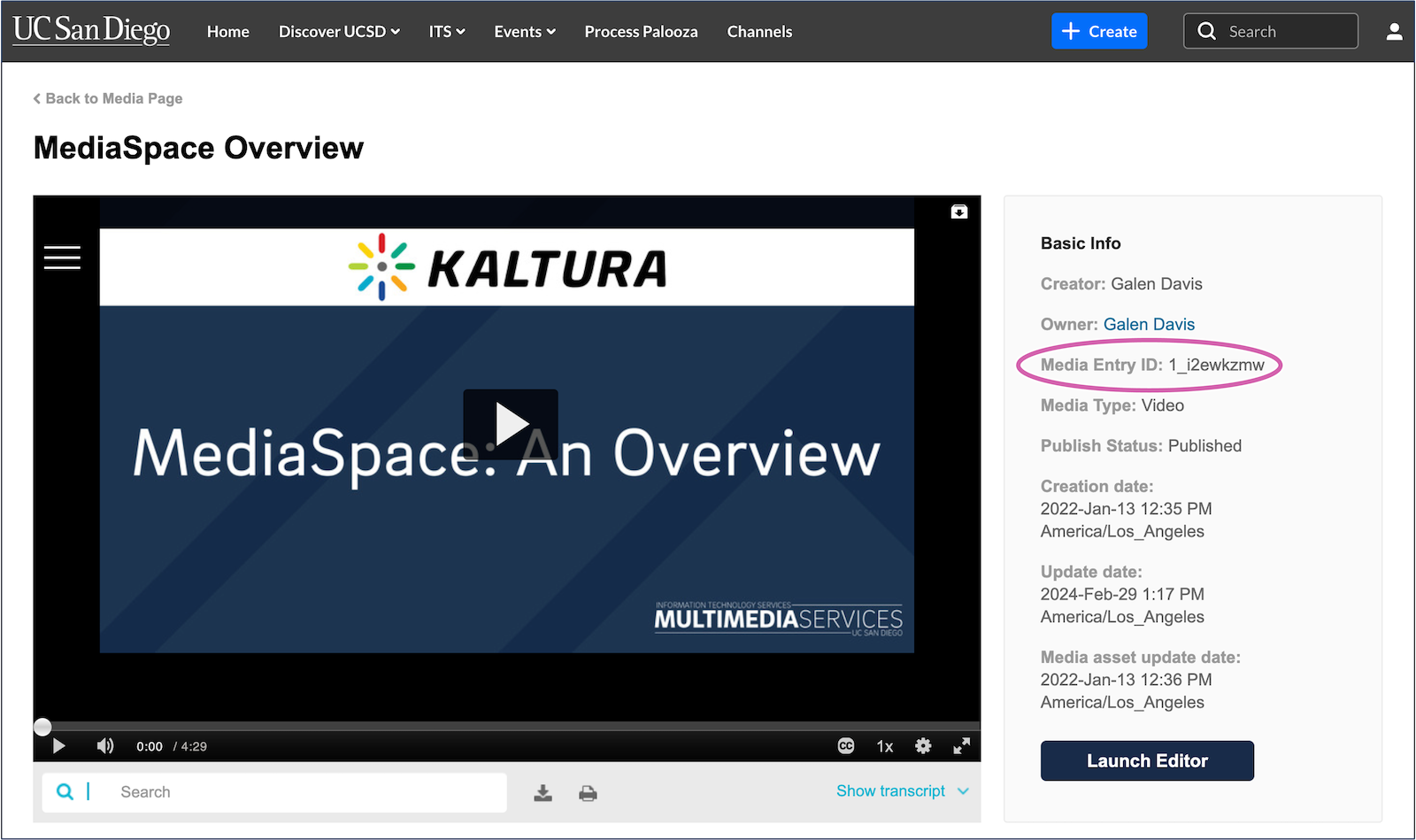 A screenshot of the Kaltura edit page.