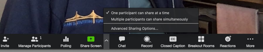 Screenshot: Zoom meeting navbar to prevent screen share