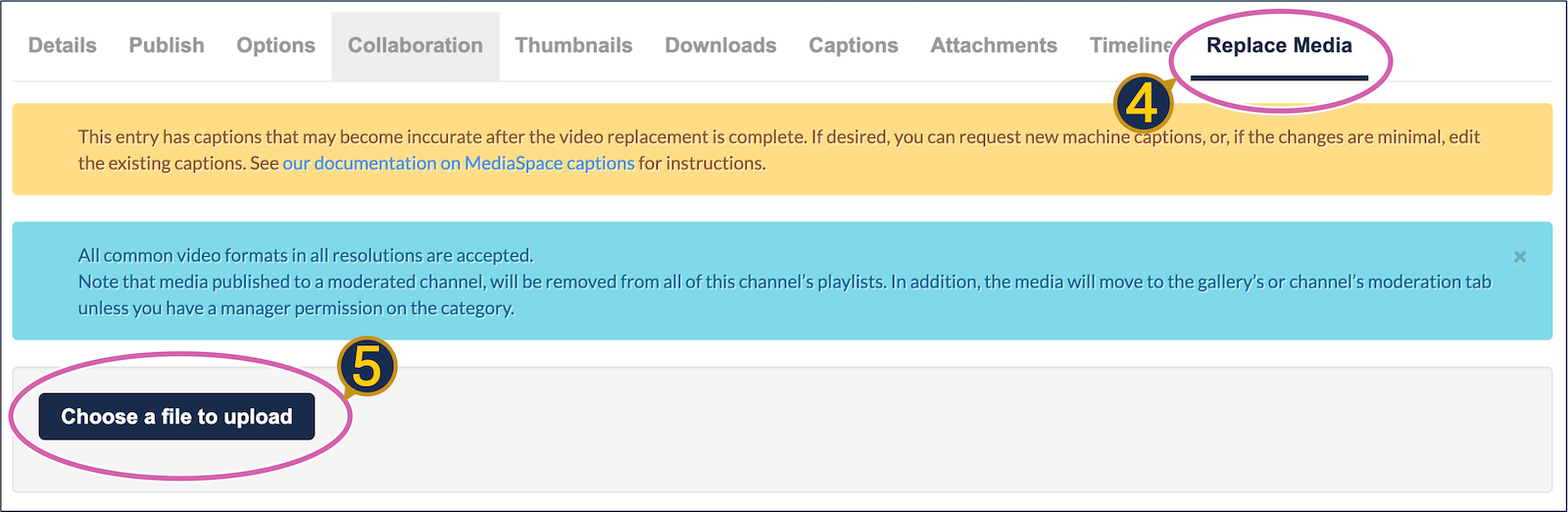 A screenshot of the Kaltura "edit page," with the "replace media" tab circled as well as the button "choose a file to upload."