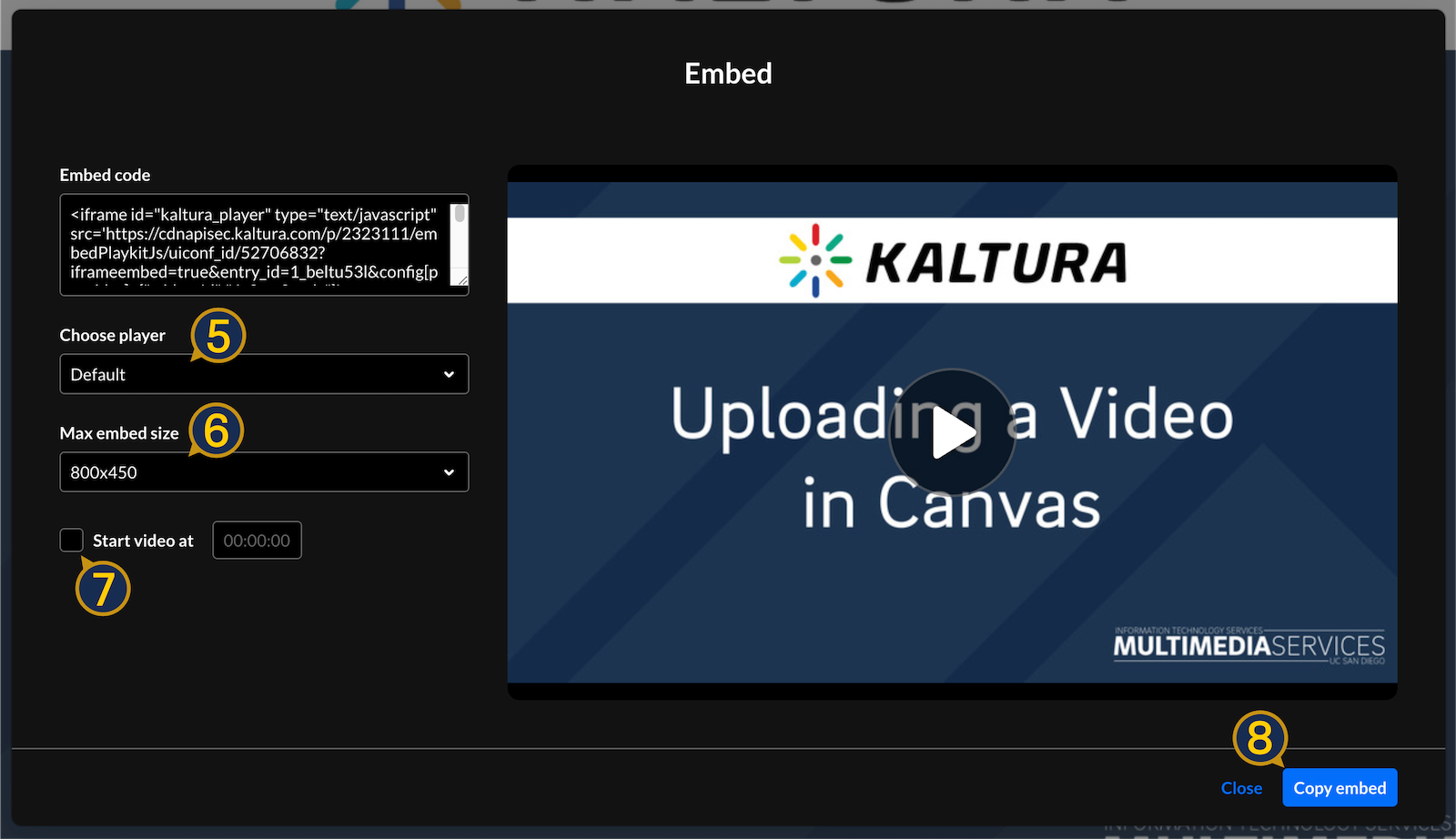 A screenshot of the "embed" window.